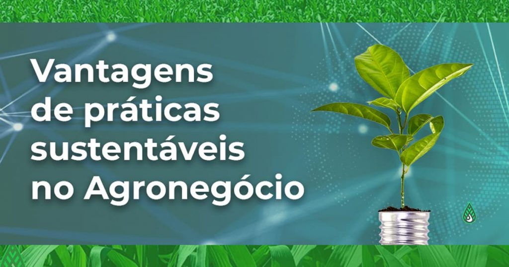 Vantagens de práticas sustentáveis no Agronegócio